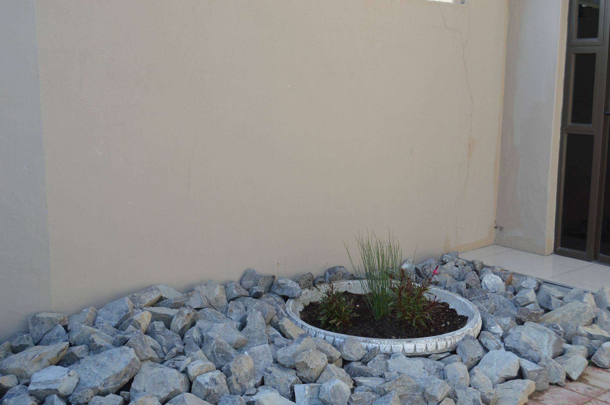 Shalimar B&B Cape Town Exterior foto